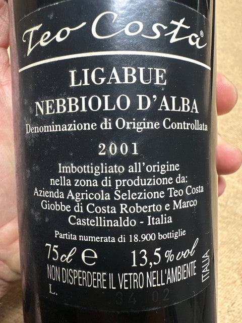 Nebbiolo d'Alba Teo Costa 2019