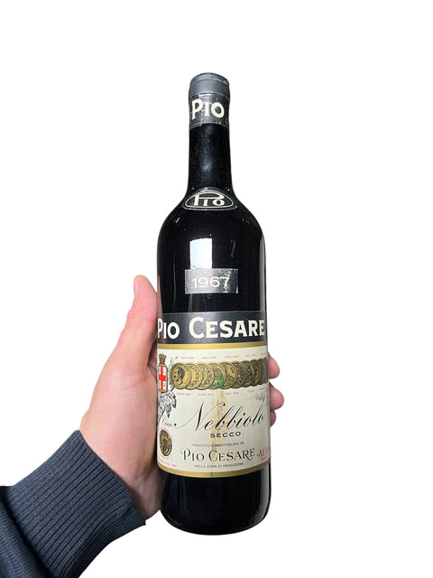 Nebbiolo d' Alba 1967 Pio Cesare