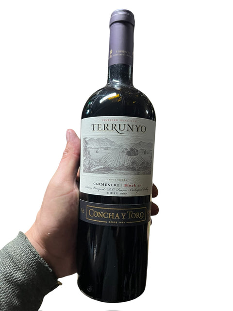 Terrunyo Carmenere 2007