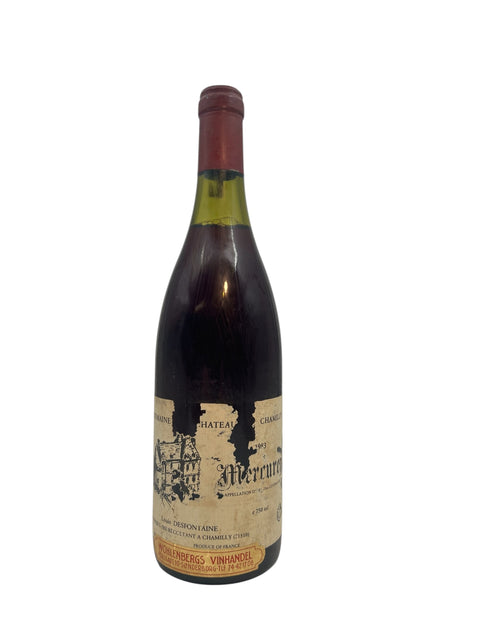 Bottle of Mercurey Louis Desponiaine 1993 red wine